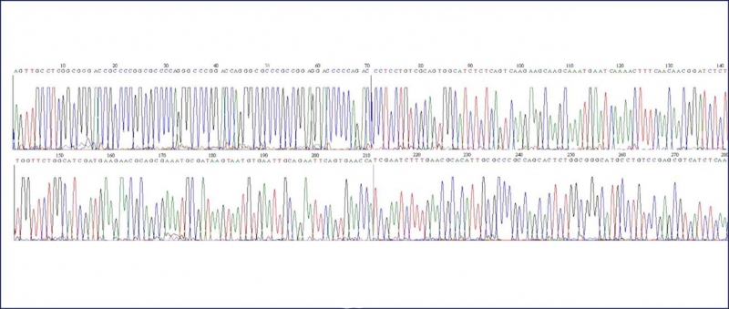 数据说话：DNA鉴定用于冬虫夏草（细品）
