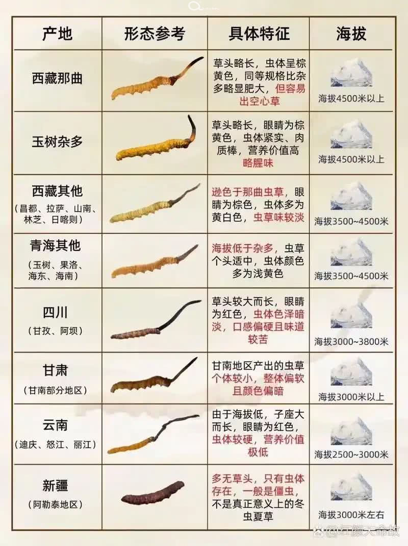 一张图了解各地虫草.jpg