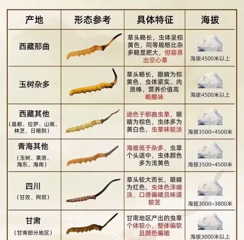 一张图了解各地的冬虫夏草